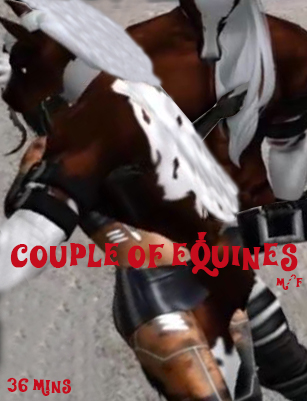 Couple of Equines 36 mins complete